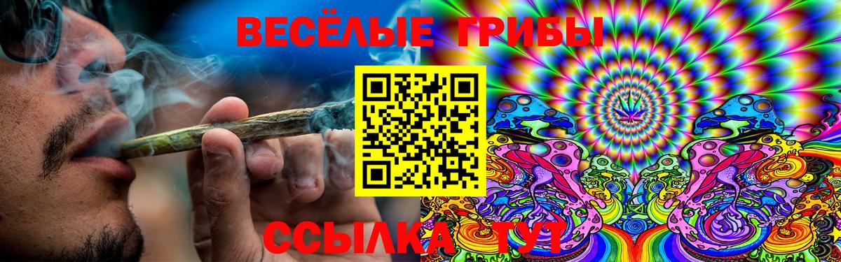 купить наркотик  Вход с VPN  Белая Калитва  Галлюциногенные грибы GOLDEN TEACHER  Псилоцибиновые грибы GOLDEN TEACHER 